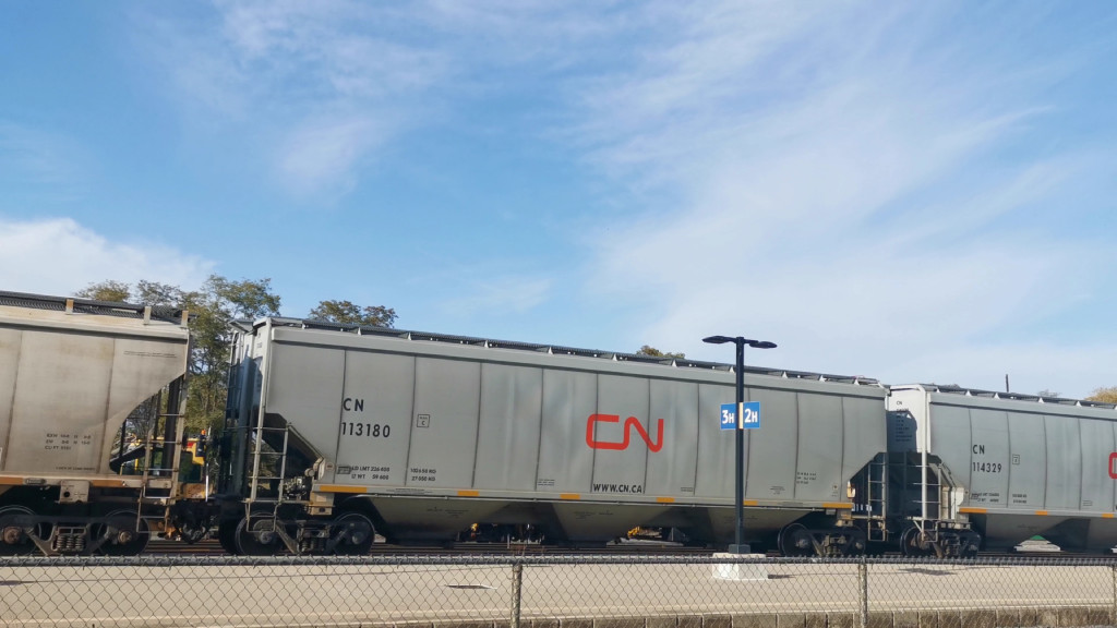 CN 113180